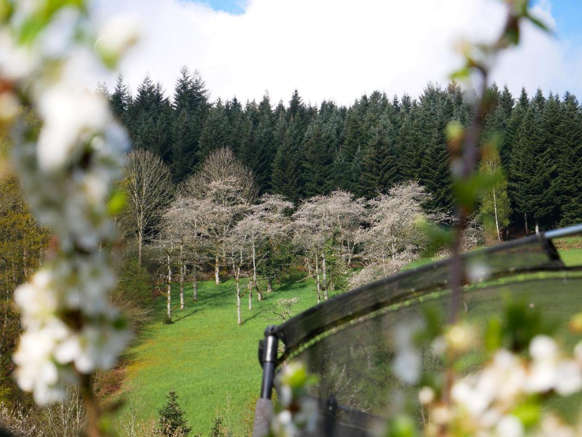 Vila Buehlbauernhof Bad Peterstal-Griesbach Exteriér fotografie