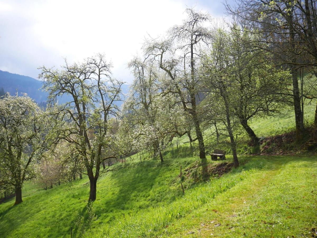 Vila Buehlbauernhof Bad Peterstal-Griesbach Exteriér fotografie