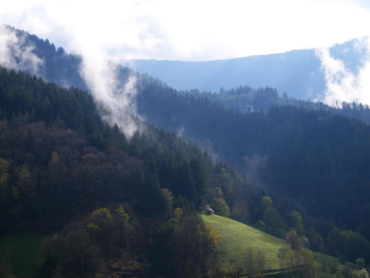Vila Buehlbauernhof Bad Peterstal-Griesbach Exteriér fotografie