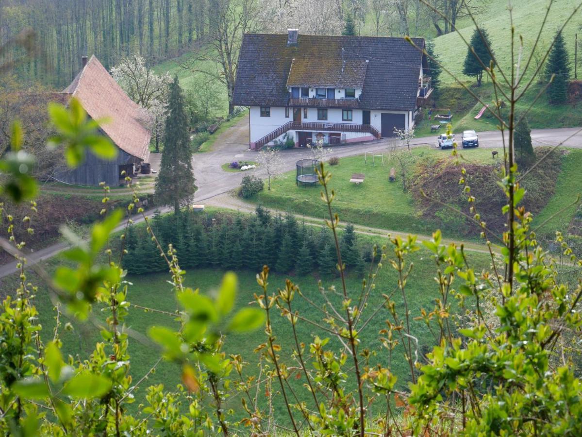 Vila Buehlbauernhof Bad Peterstal-Griesbach Exteriér fotografie