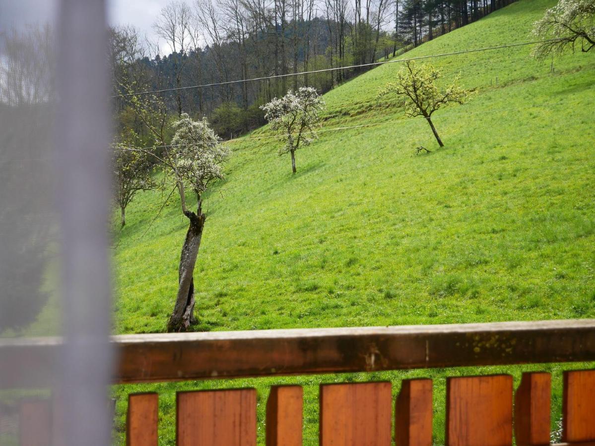 Vila Buehlbauernhof Bad Peterstal-Griesbach Exteriér fotografie